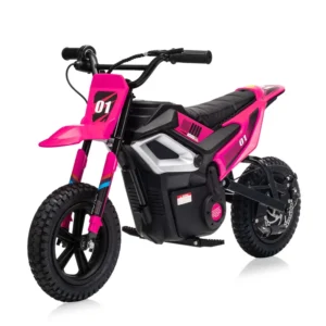 24V Kids Electric Dirt Bike, 350W Mini Electric Motorcycle with 12" Fat Tires